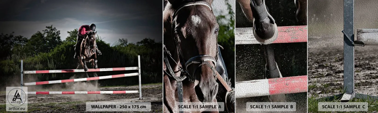 Fotobehang Monster Premium Sand - Samen naar de overwinning - Dieren, Paard, Sport - 100x30 cm