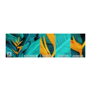 Fotobehang Monster Premium Canvas - Eden bloem - Strelitzia Koninklijk, Bloem, Afrika - 100x30 cm