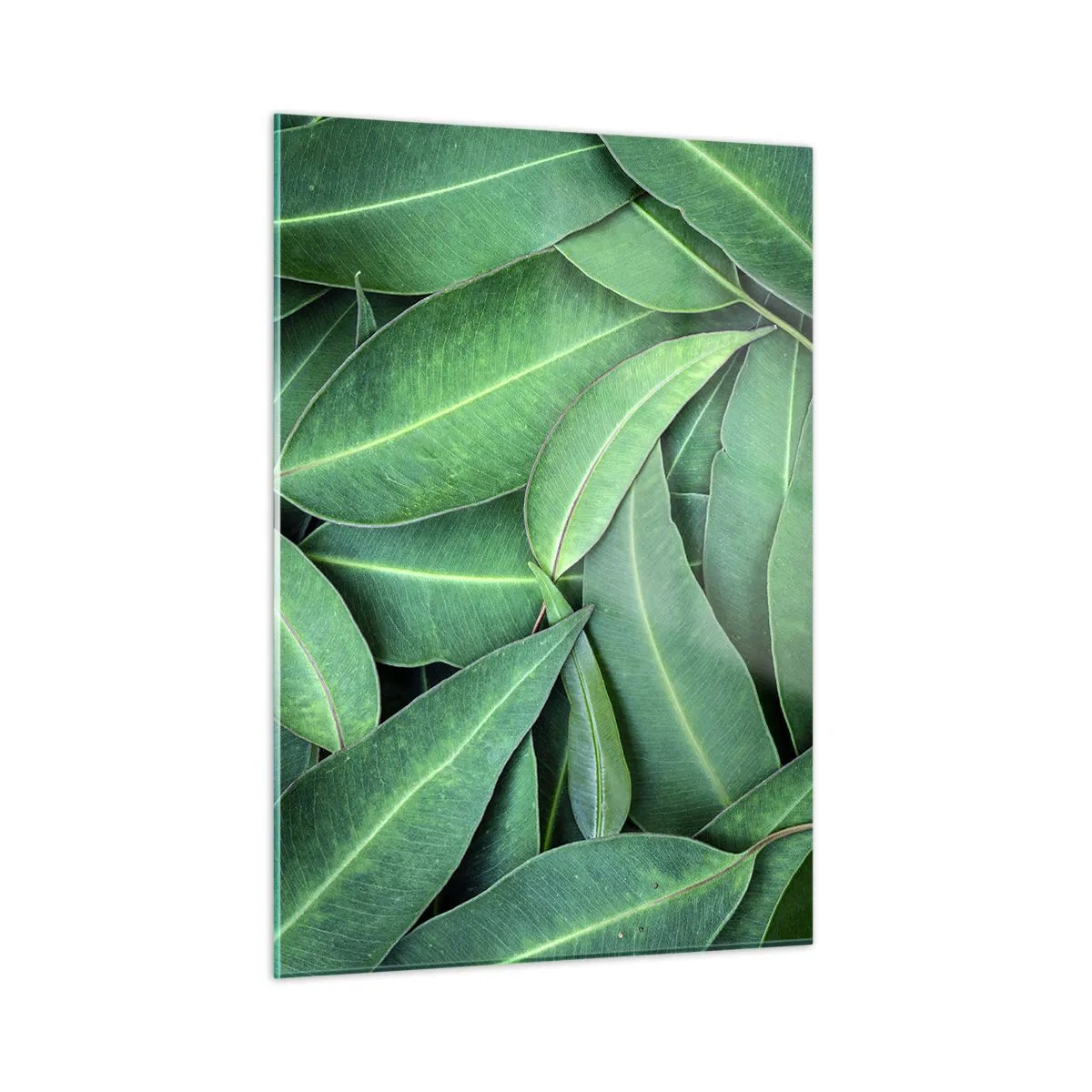 Schilderen op glas - Sappig en fris - 50x70 cm