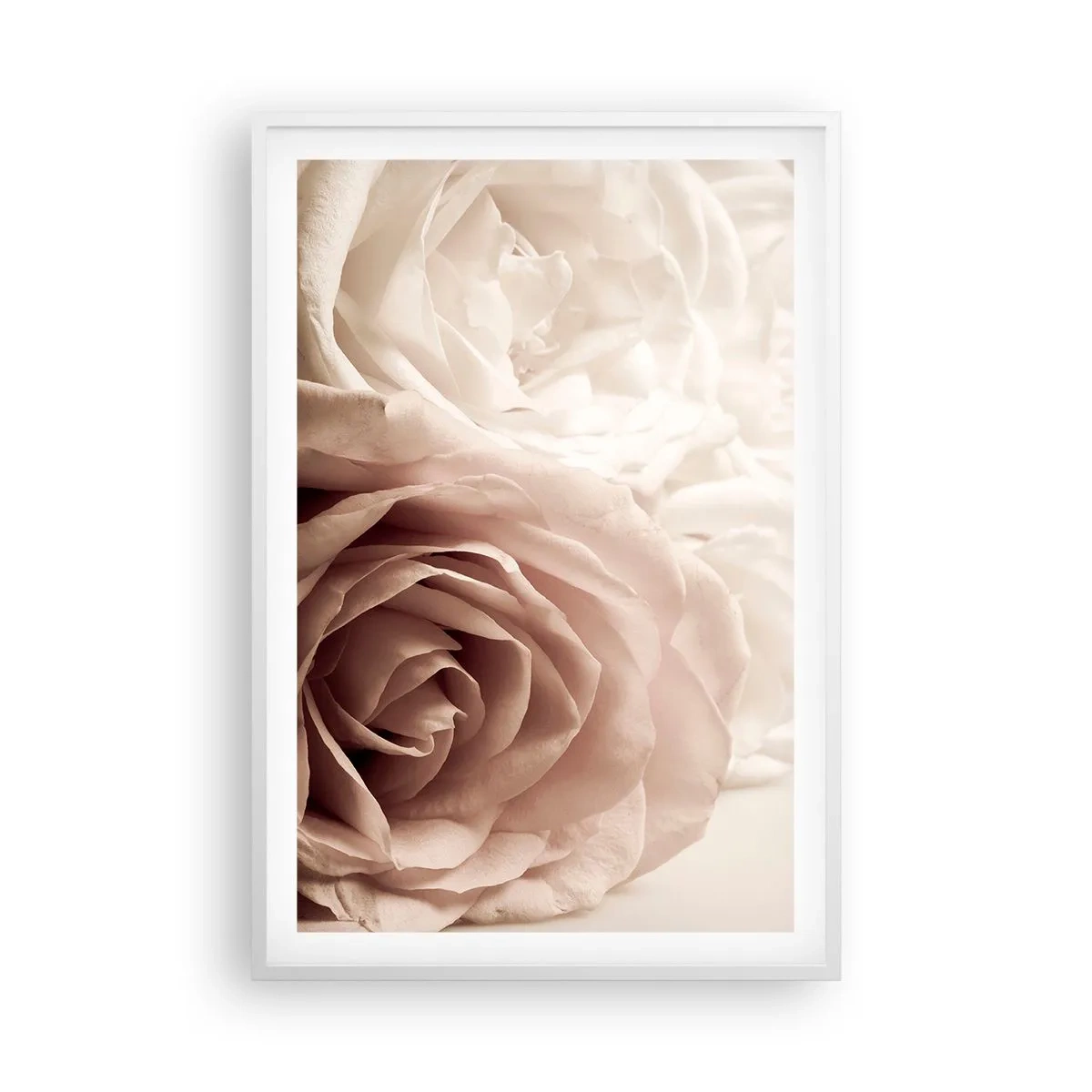 Poster in een witte lijst - In het hart van een roos - 61x91 cm