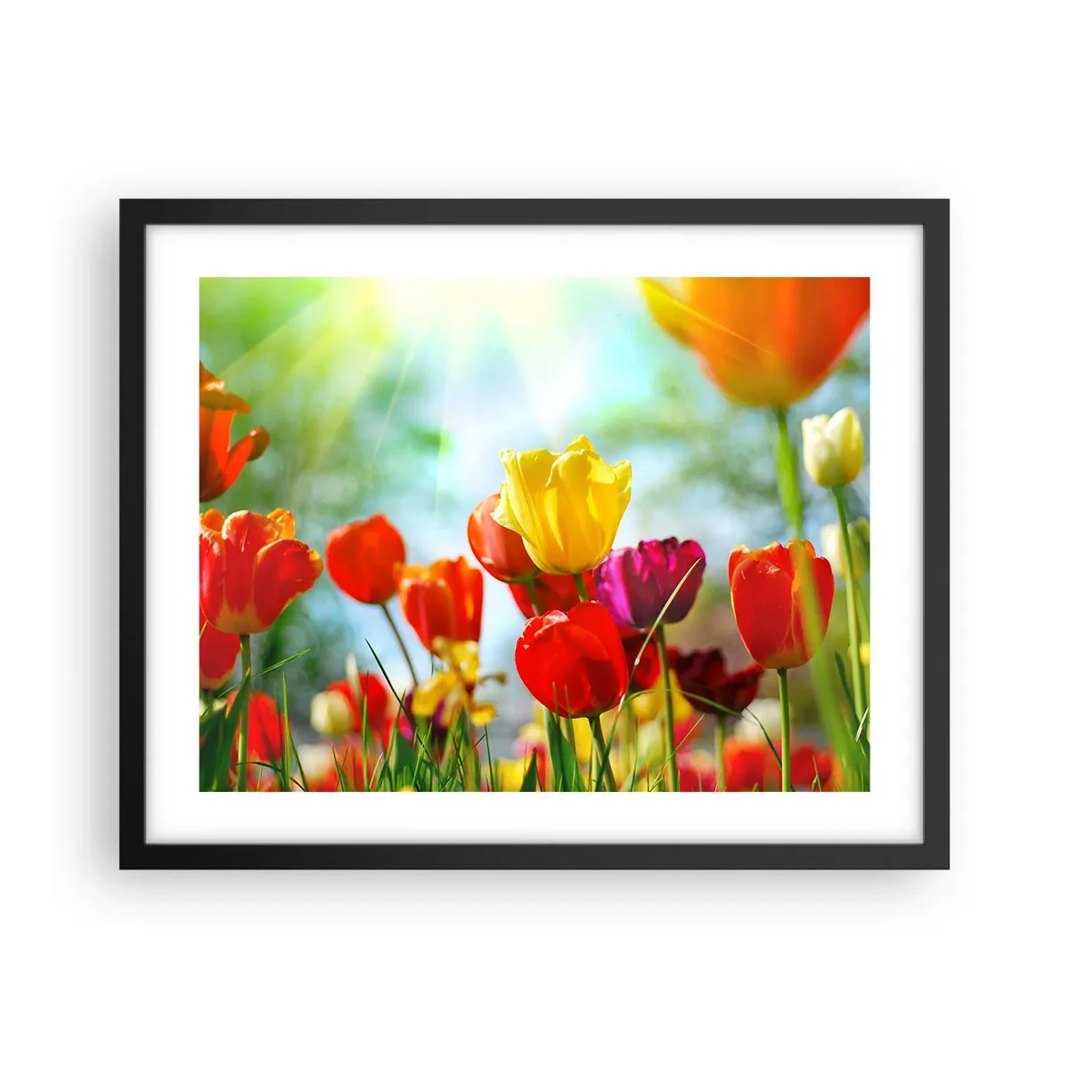 Poster in een zwarte lijst - Alle kleuren van de zon - 50x40 cm