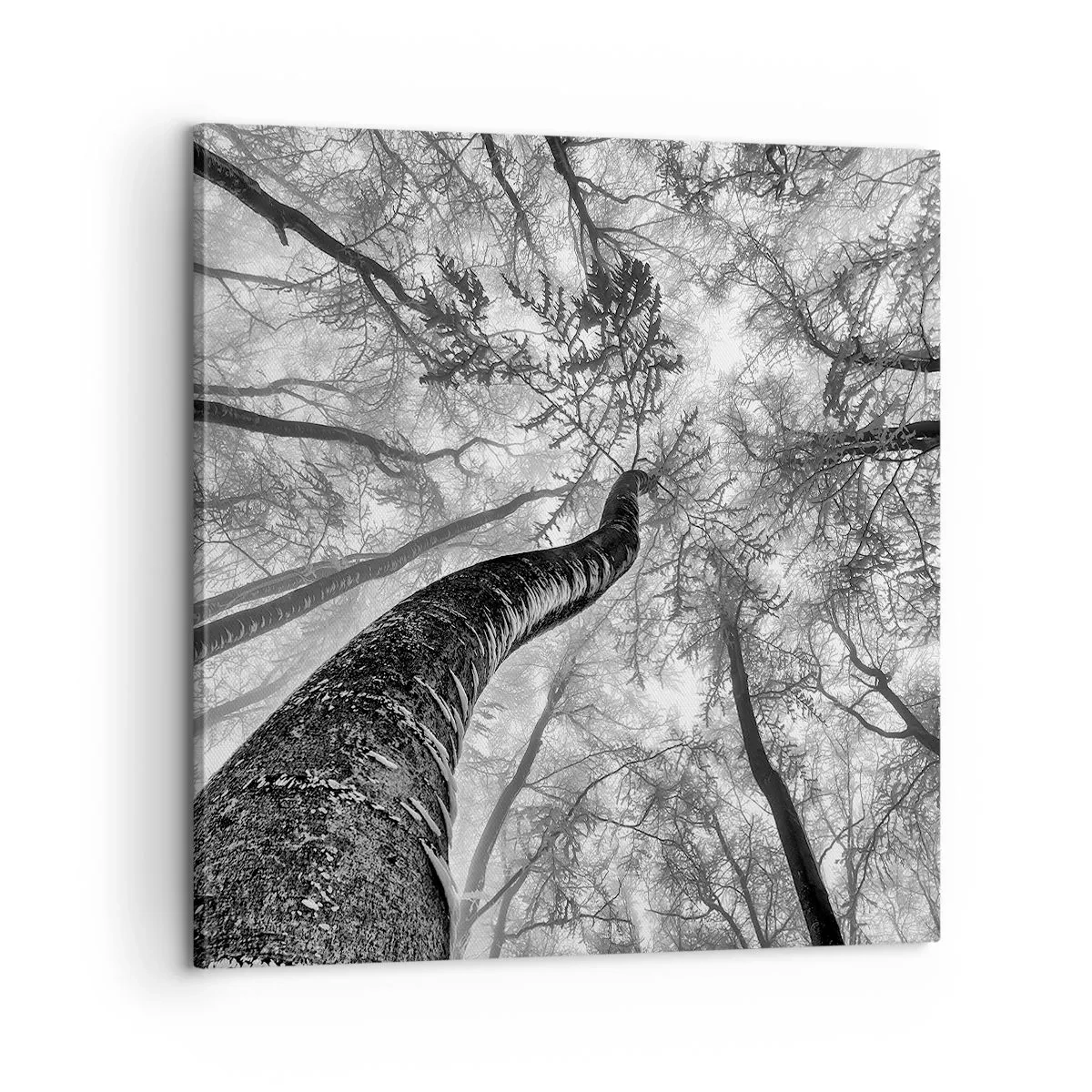 Schilderen op canvas - Race naar het licht - 60x60 cm