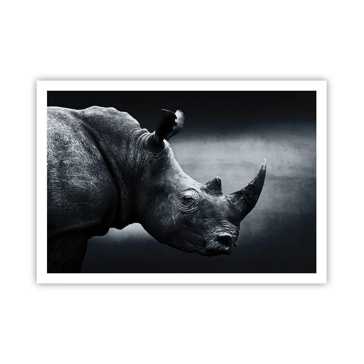 Poster - Rechts profiel - 100x70 cm