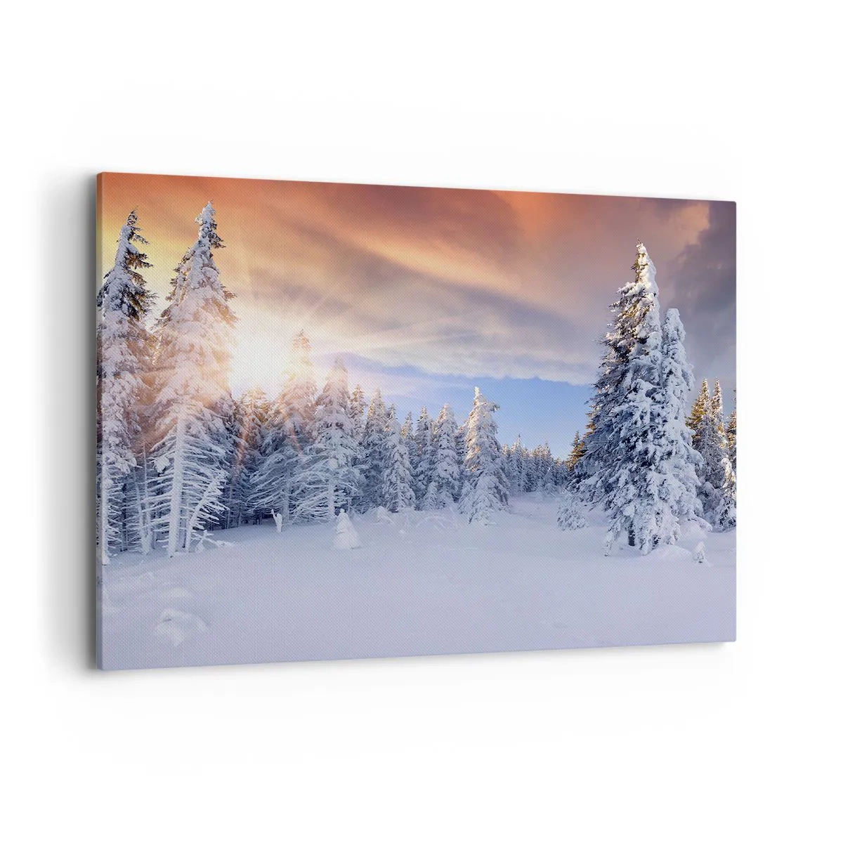 Schilderen op canvas - Het sneeuwspektakel van de natuur - 100x70 cm