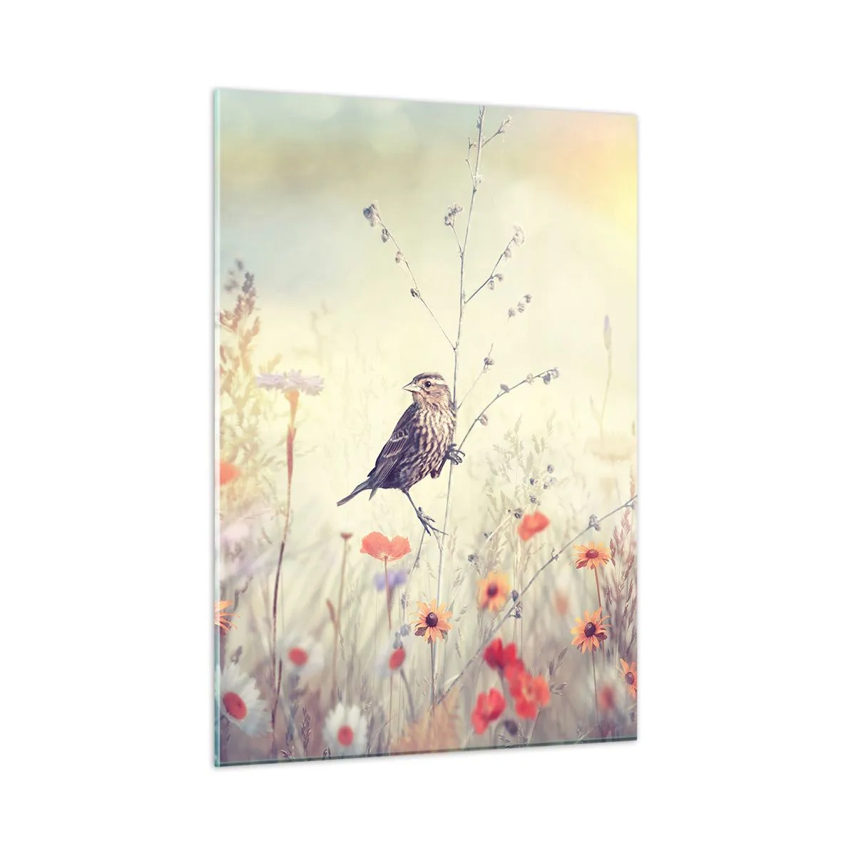 Schilderen op glas - Vogelportret met een weiland op de achtergrond - 50x70 cm