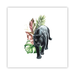 Poster - Wilde van het hart - 60x60 cm