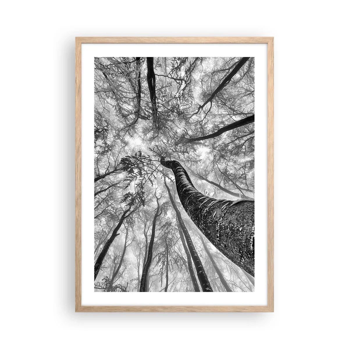 Een poster in een licht eiken lijst - Race naar het licht - 50x70 cm