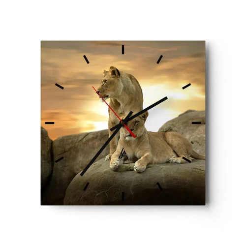 Wandklok - Klok - Koninklijke majesteit - 30x30 cm