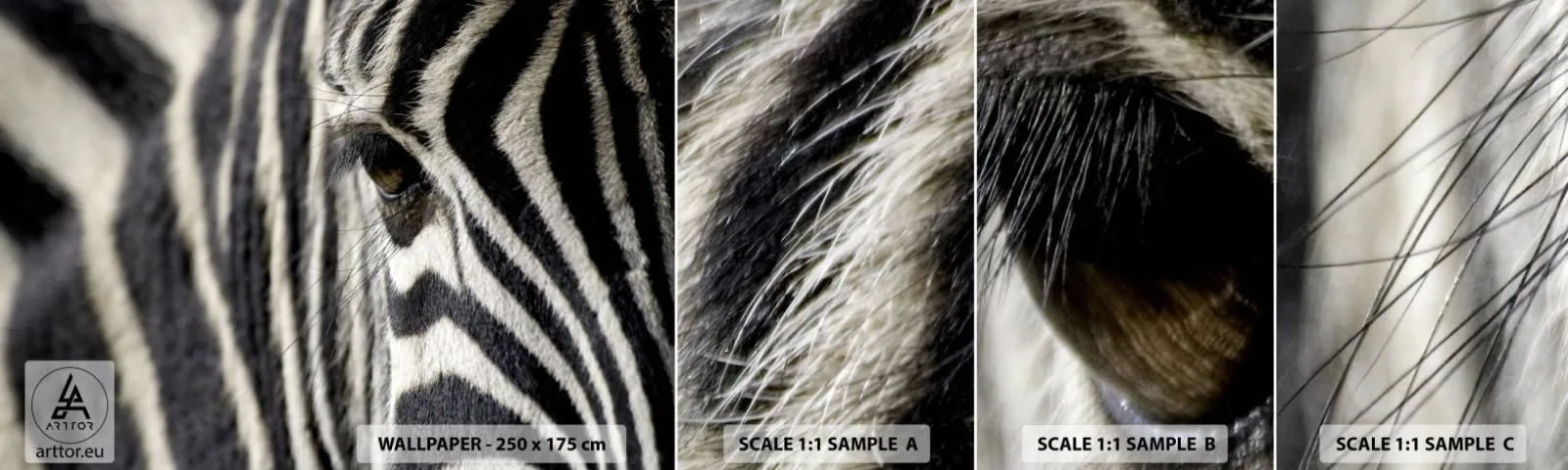 Fotobehang Monster Zelfklevend Deluxe Sticker - Gestreept portret - Dieren, Ribben, Afrika - 100x30 cm