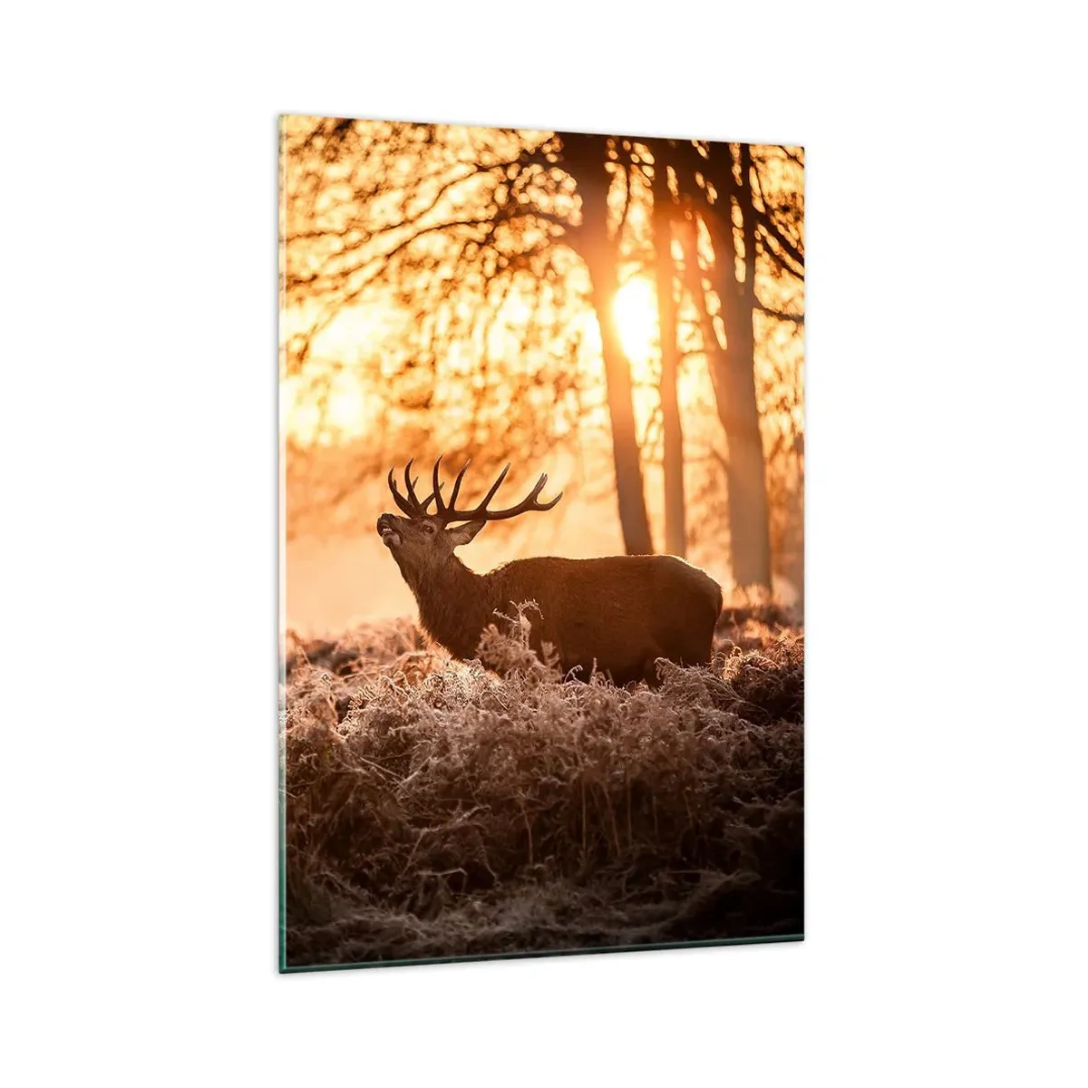 Schilderen op glas - De droom van een jager - 80x120 cm