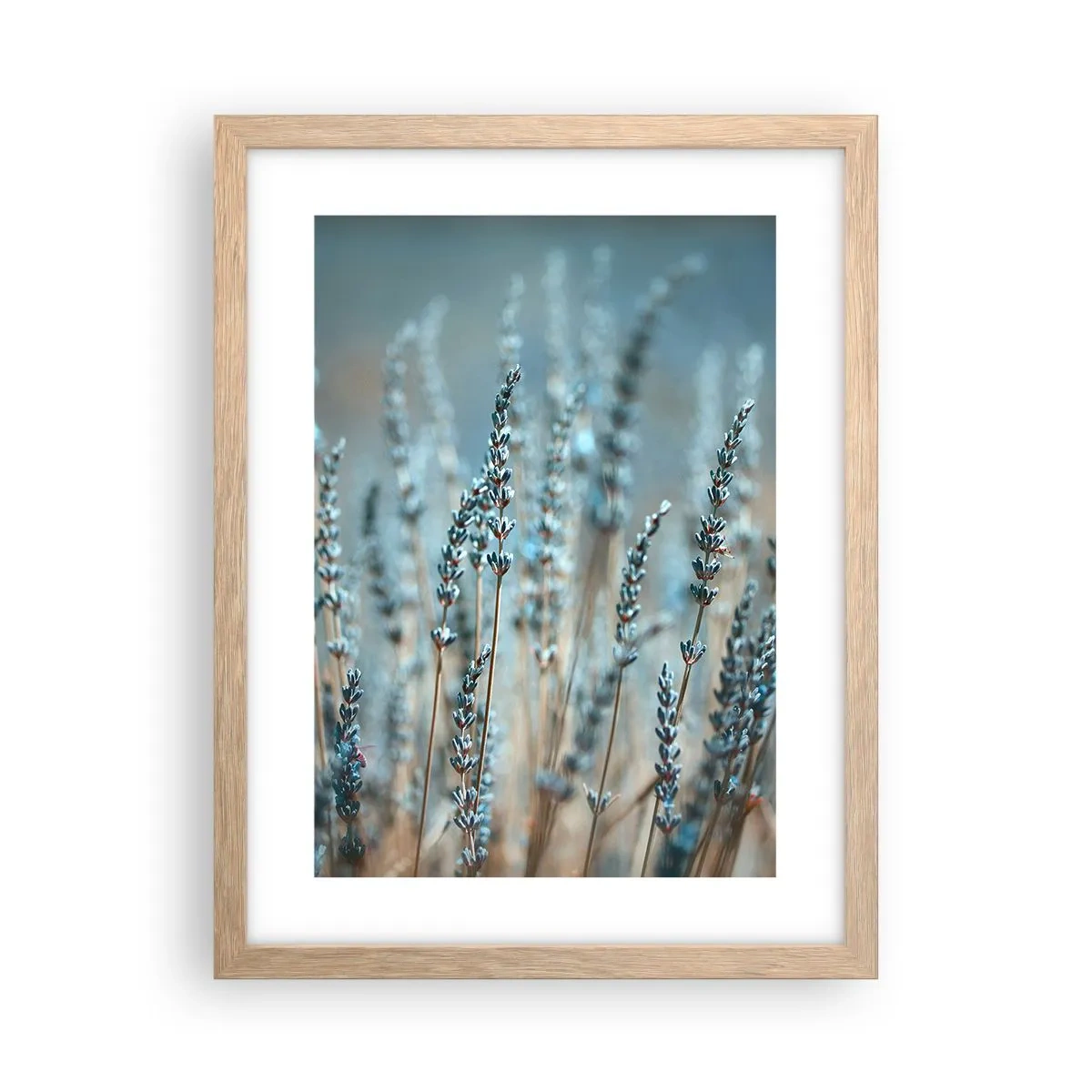 Een poster in een licht eiken lijst - Geurig korenveld - 30x40 cm