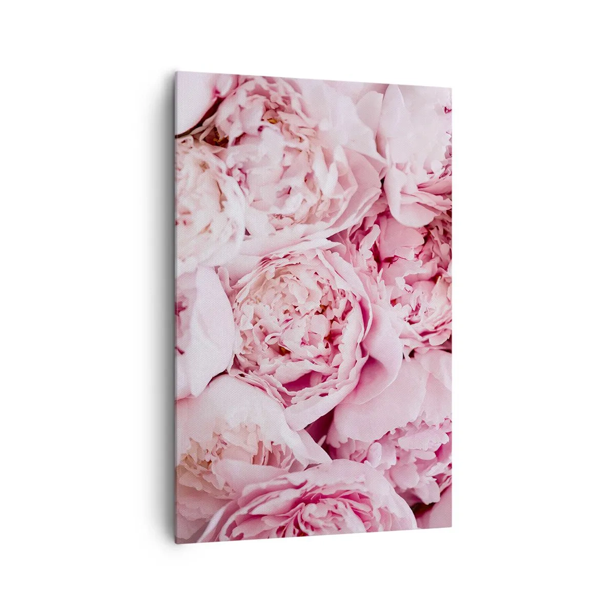 Schilderen op canvas - Knuffelend en geurig - 80x120 cm