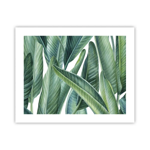 Poster - Groen zelf - 50x40 cm