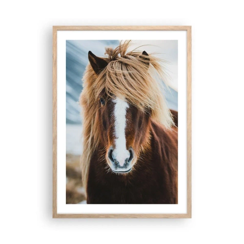 Een poster in een licht eiken lijst - Voel jij je vrij? - 50x70 cm