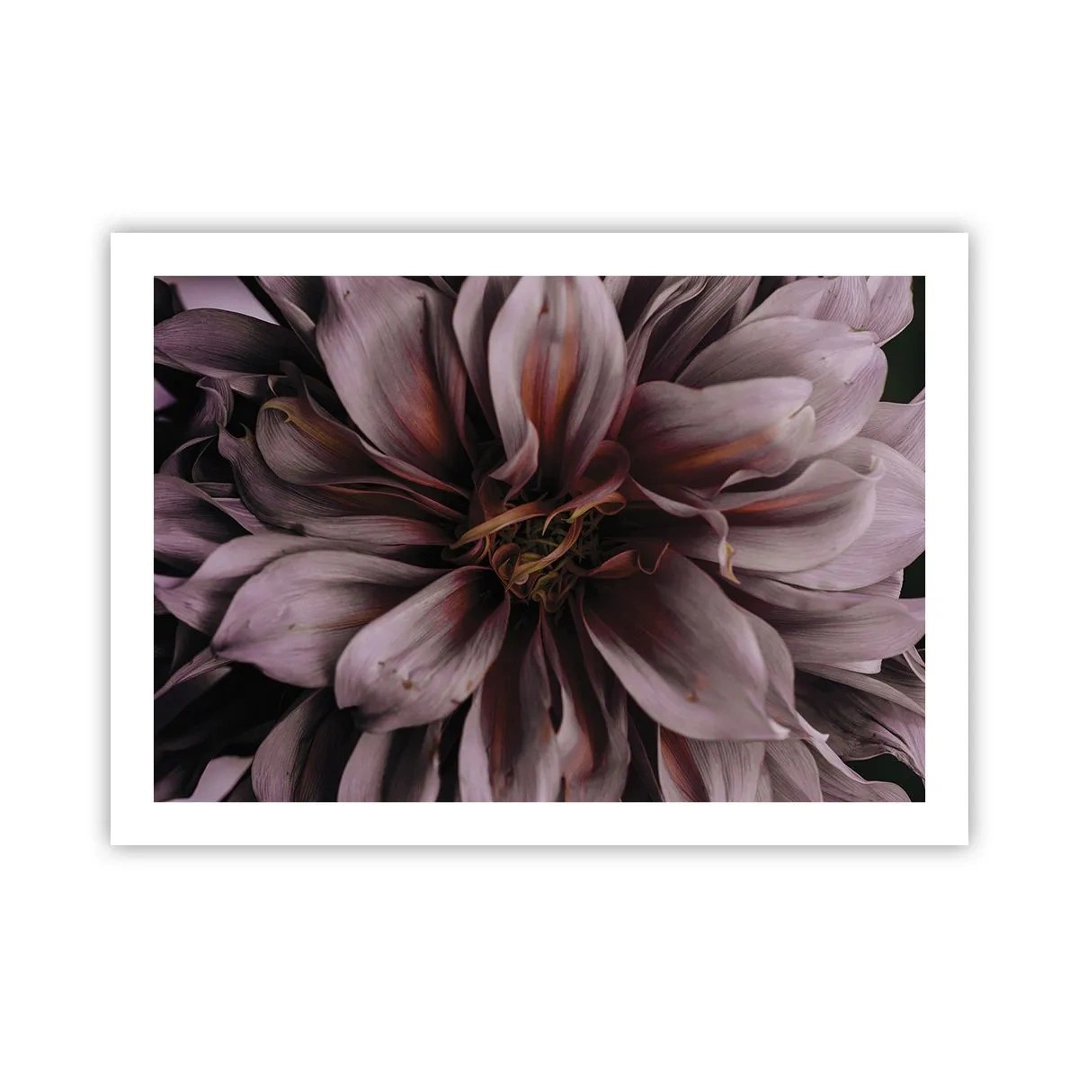 Poster - Een bloemenhart - 70x50 cm