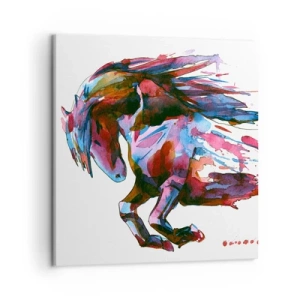 Schilderen op canvas - In vervoering - 50x50 cm