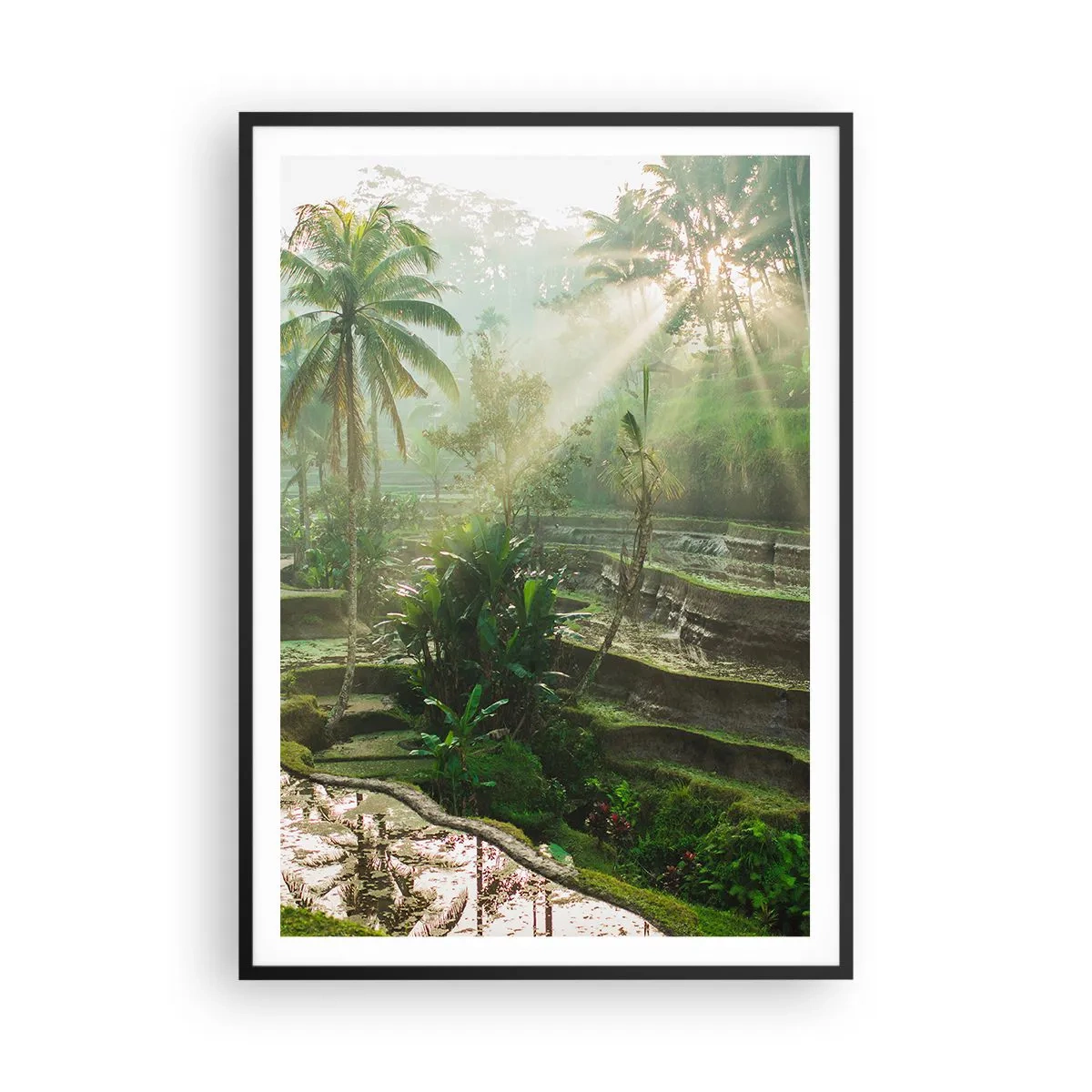 Poster in een zwarte lijst - Opgroeien in de zon - 70x100 cm