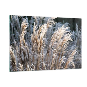 Schilderen op glas - Gekleed met vorst - 120x80 cm