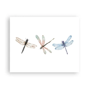 Poster - Gewichtloze libellen - 50x40 cm