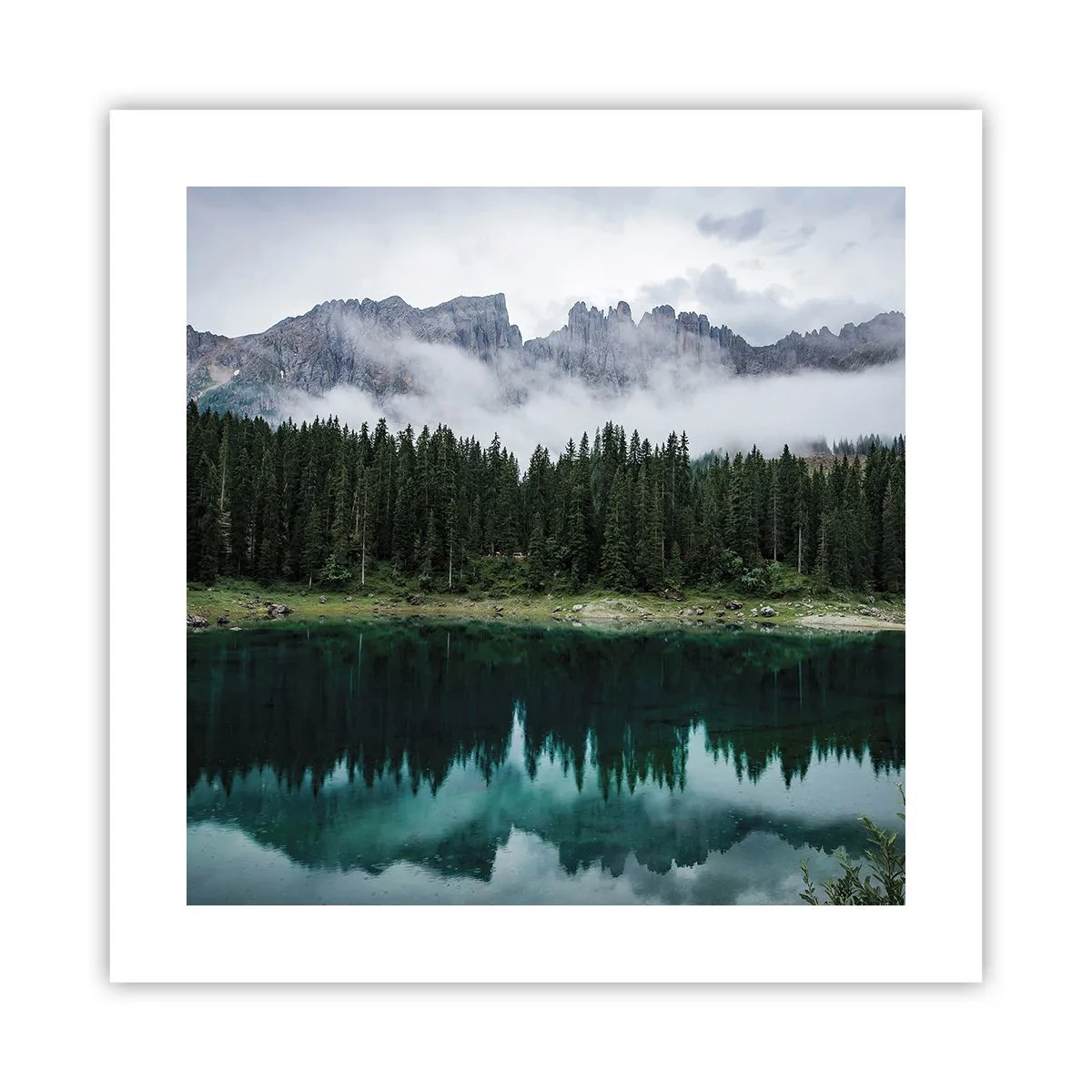 Poster - Stil, stil, laten we het drinkwater niet wakker maken... - 40x40 cm