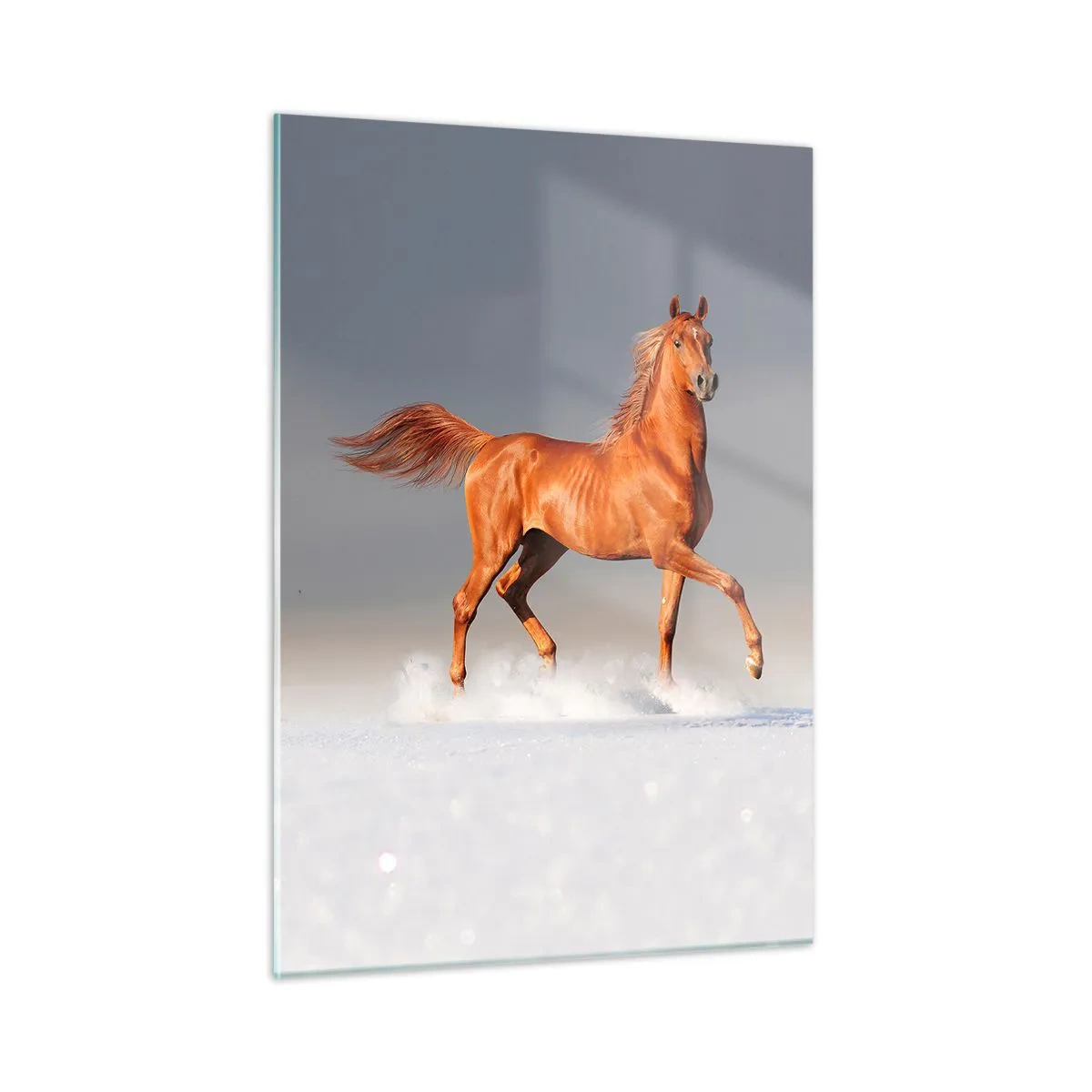 Schilderen op glas - Dansende elegantie - 50x70 cm