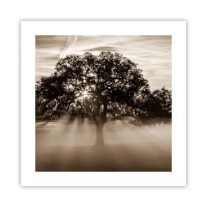Poster - Boom van goede kennis alleen - 40x40 cm