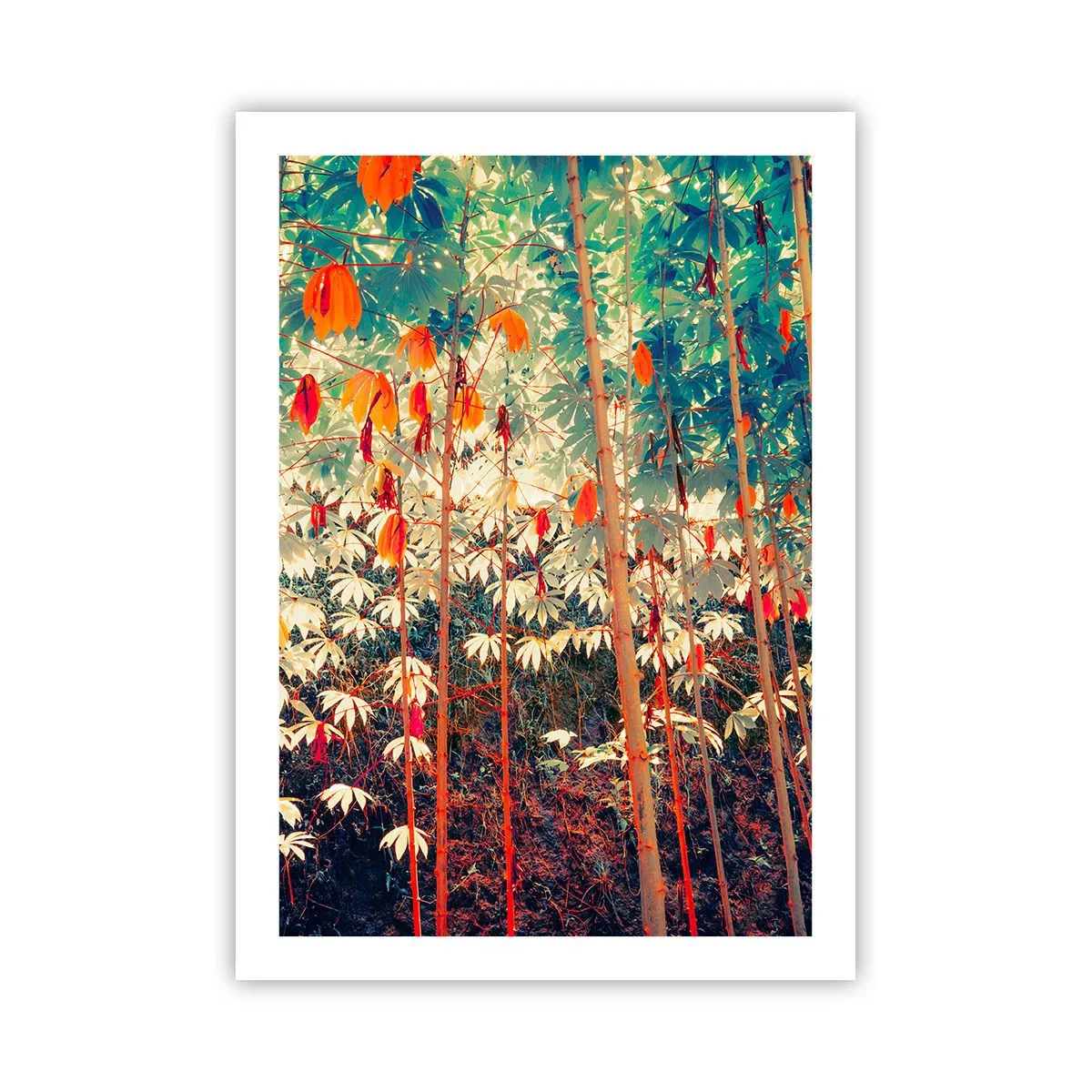 Poster - Het geheime leven van de bladeren - 50x70 cm