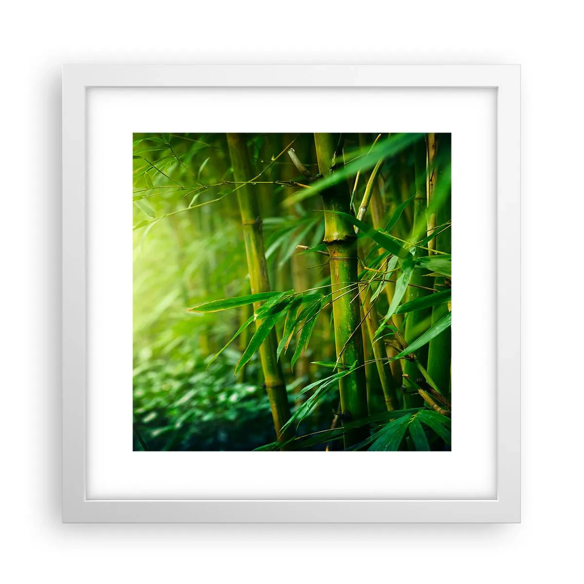 Poster in een witte lijst - Maak kennis met groen zelf - 30x30 cm