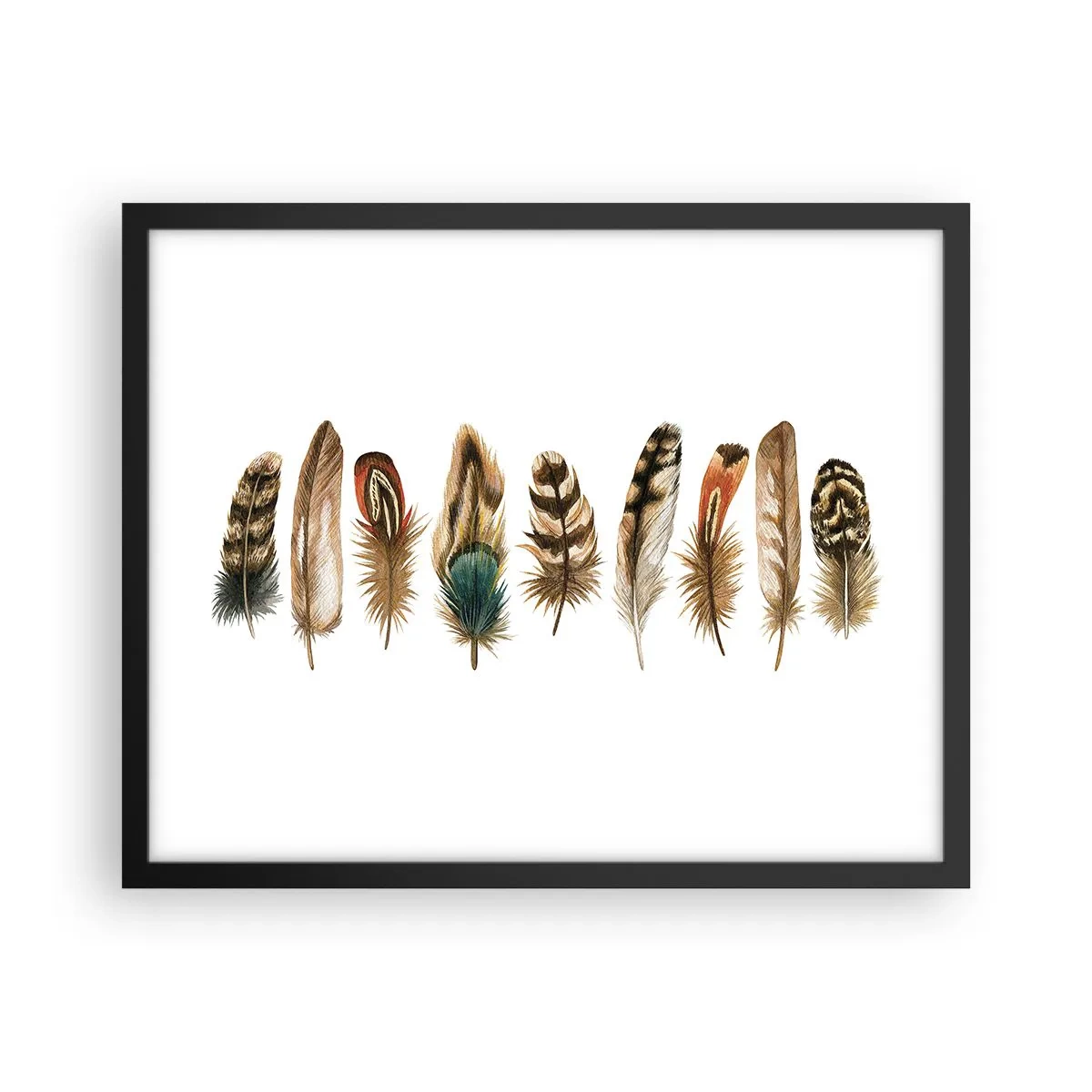Poster in een zwarte lijst - Een gevederde variatie - 50x40 cm