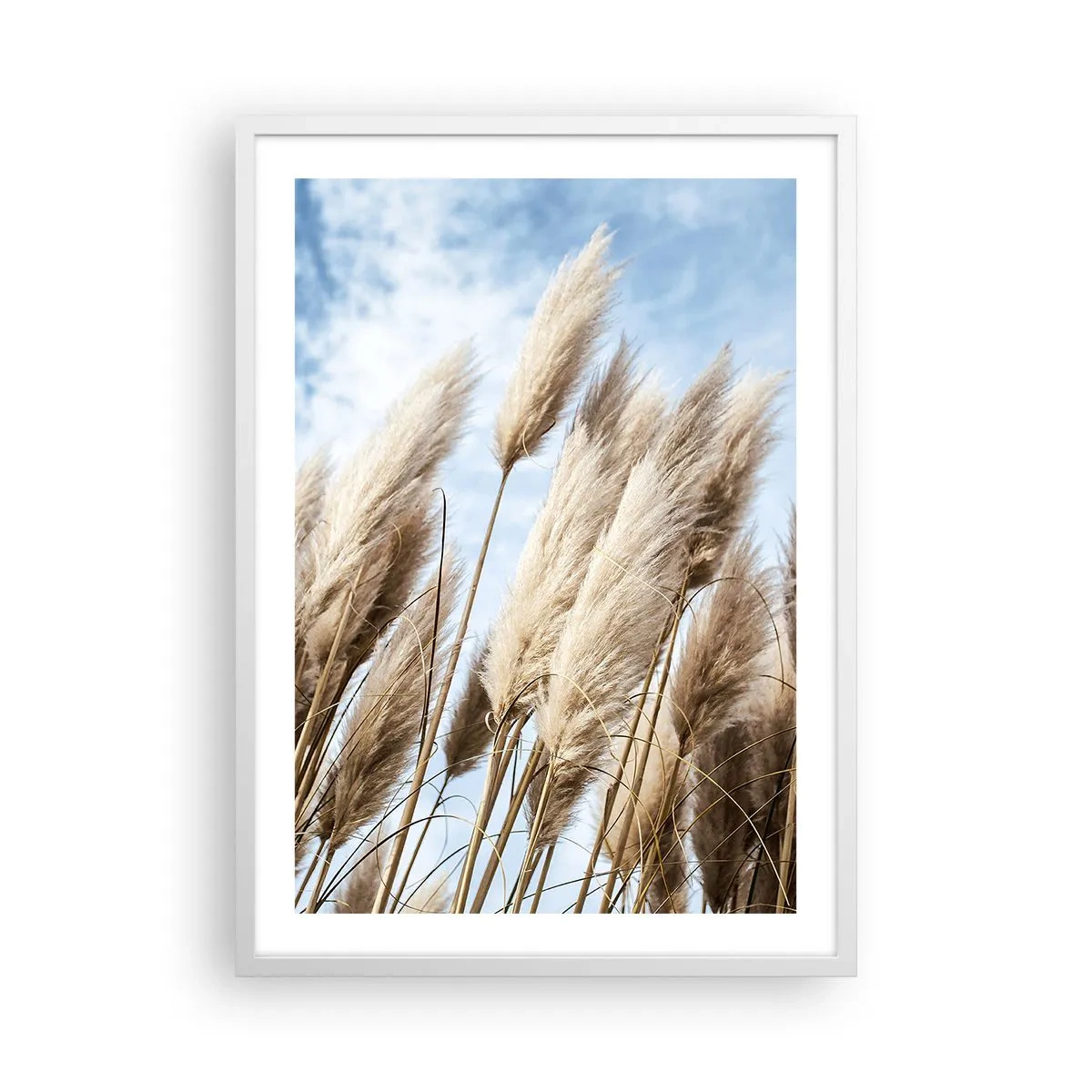 Poster in een witte lijst - Zonnige en winderige streling - 50x70 cm