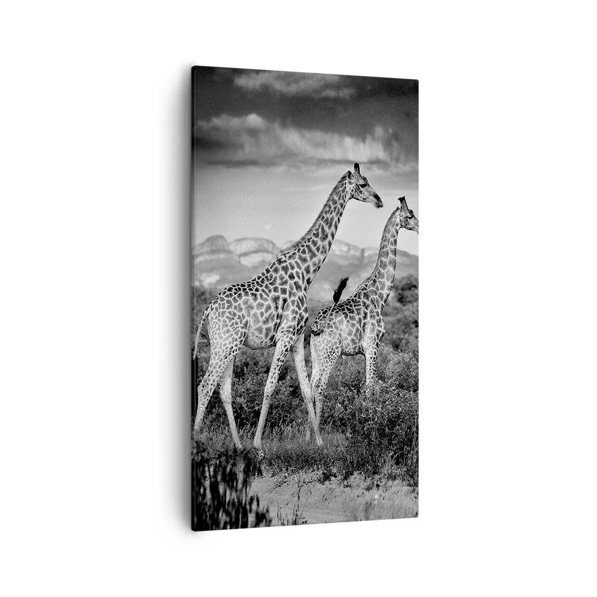 Schilderen op canvas - Hoge sferen in Afrika - 55x100 cm