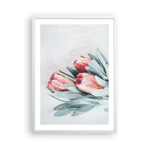 Poster in een witte lijst - Schaamt zich voor hun eigen schoonheid - 50x70 cm