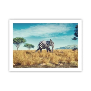 Poster - Grijs is niet meer in de mode - 70x50 cm