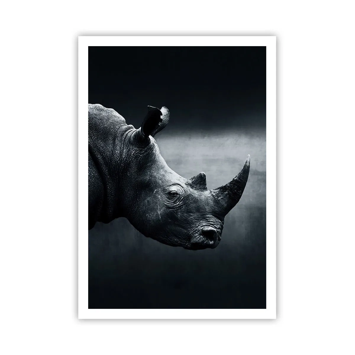 Poster - Rechts profiel - 70x100 cm
