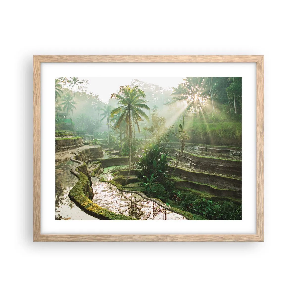 Een poster in een licht eiken lijst - Opgroeien in de zon - 50x40 cm