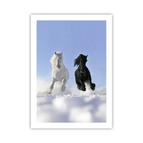Poster - Zwart-wit galop - 50x70 cm