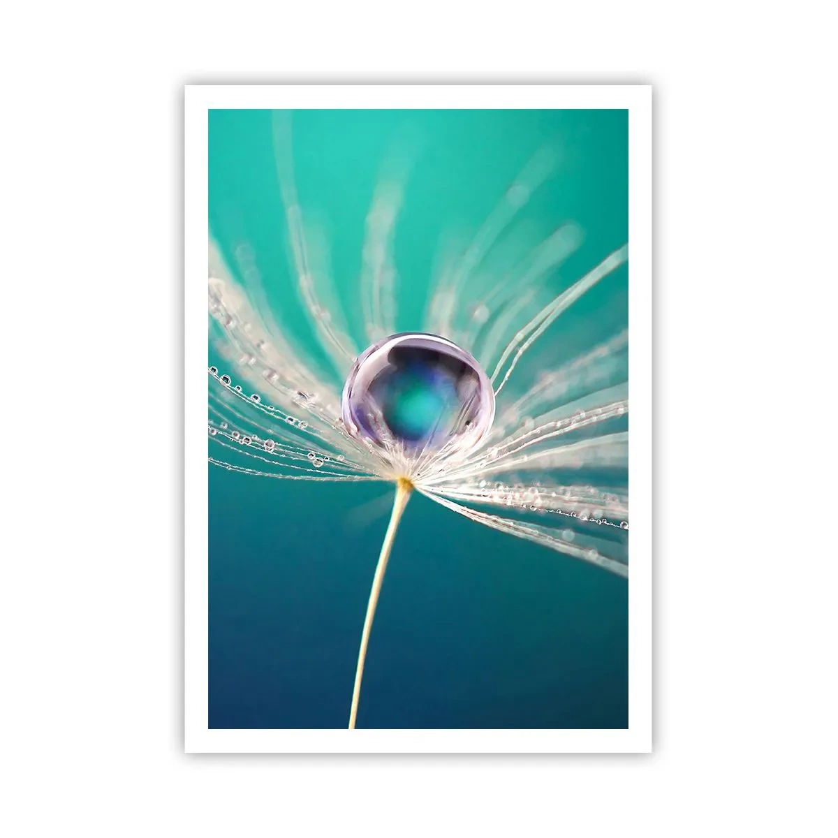 Poster - Mystiek moment - 70x100 cm