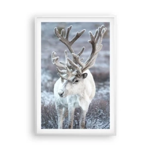 Poster in een witte lijst - Portret in de zon - 61x91 cm