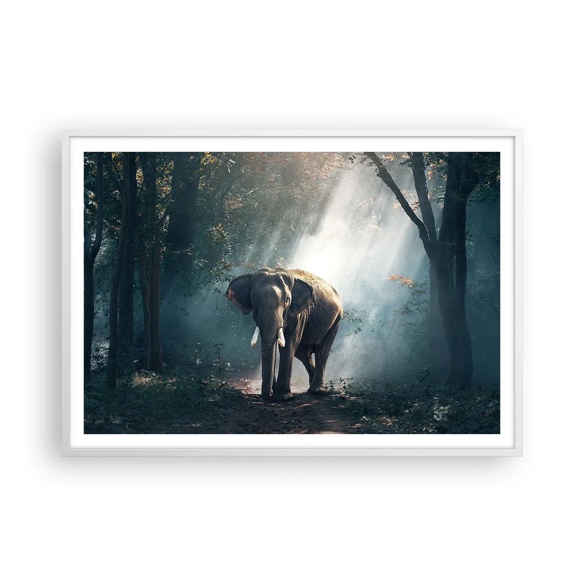 Poster in een witte lijst - Een ontspannen wandeling - 100x70 cm