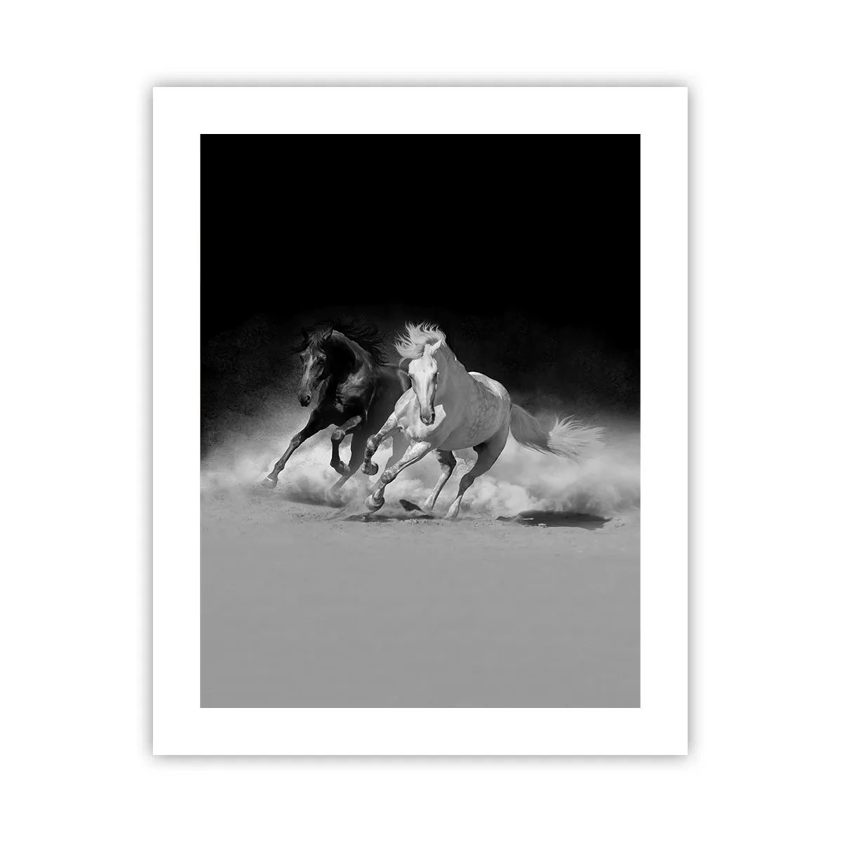 Poster - Vrijheidsgalop - 40x50 cm