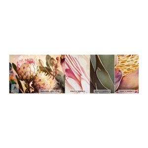 Fotobehang Monster Premium Canvas - Teeder omarmd - Bloemen, Planten, Plantkunde - 100x30 cm