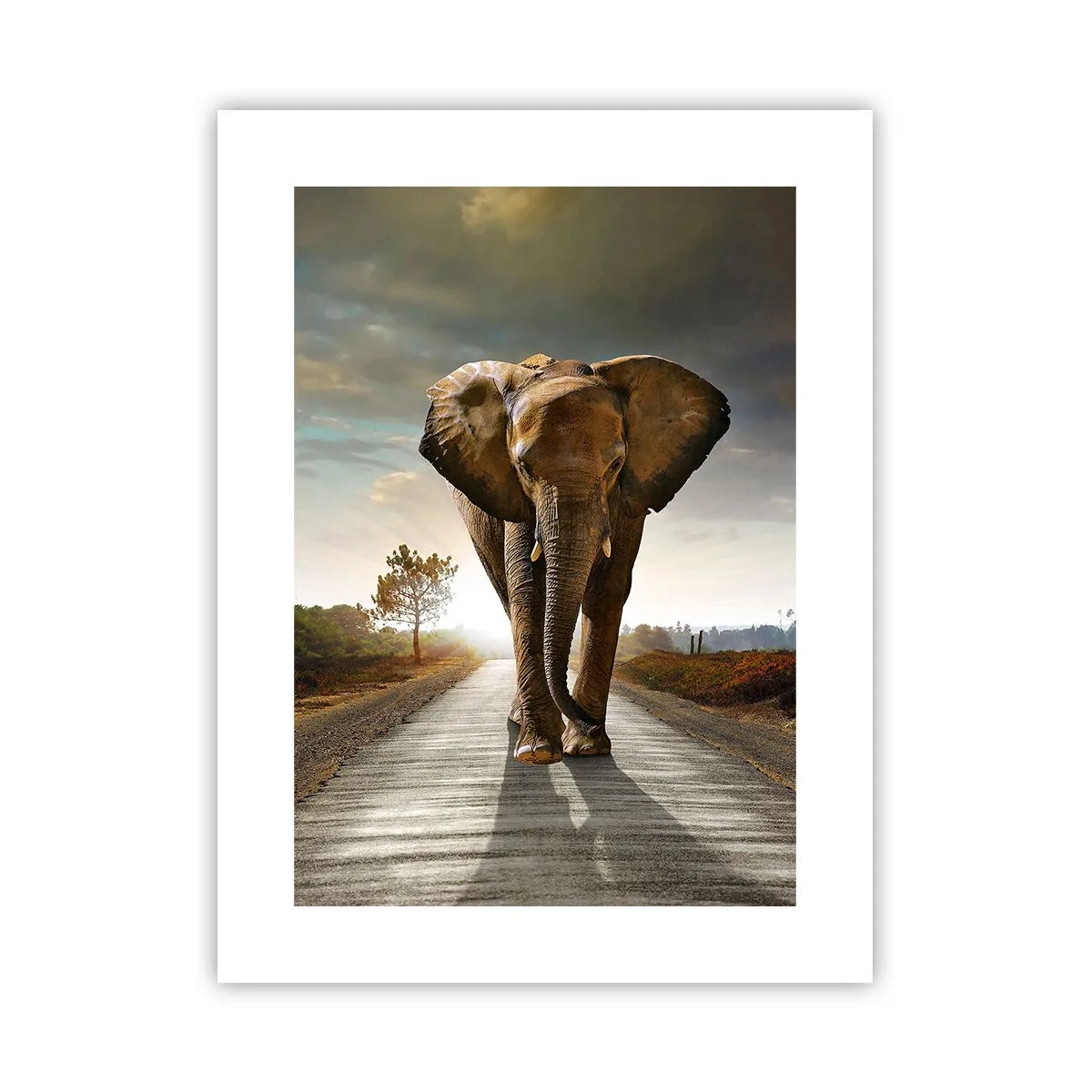 Poster - En helemaal niet in een porseleinen pakhuis - 30x40 cm