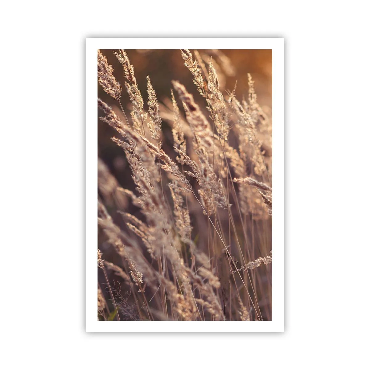 Poster - Klaar om de herfst te verwelkomen - 61x91 cm