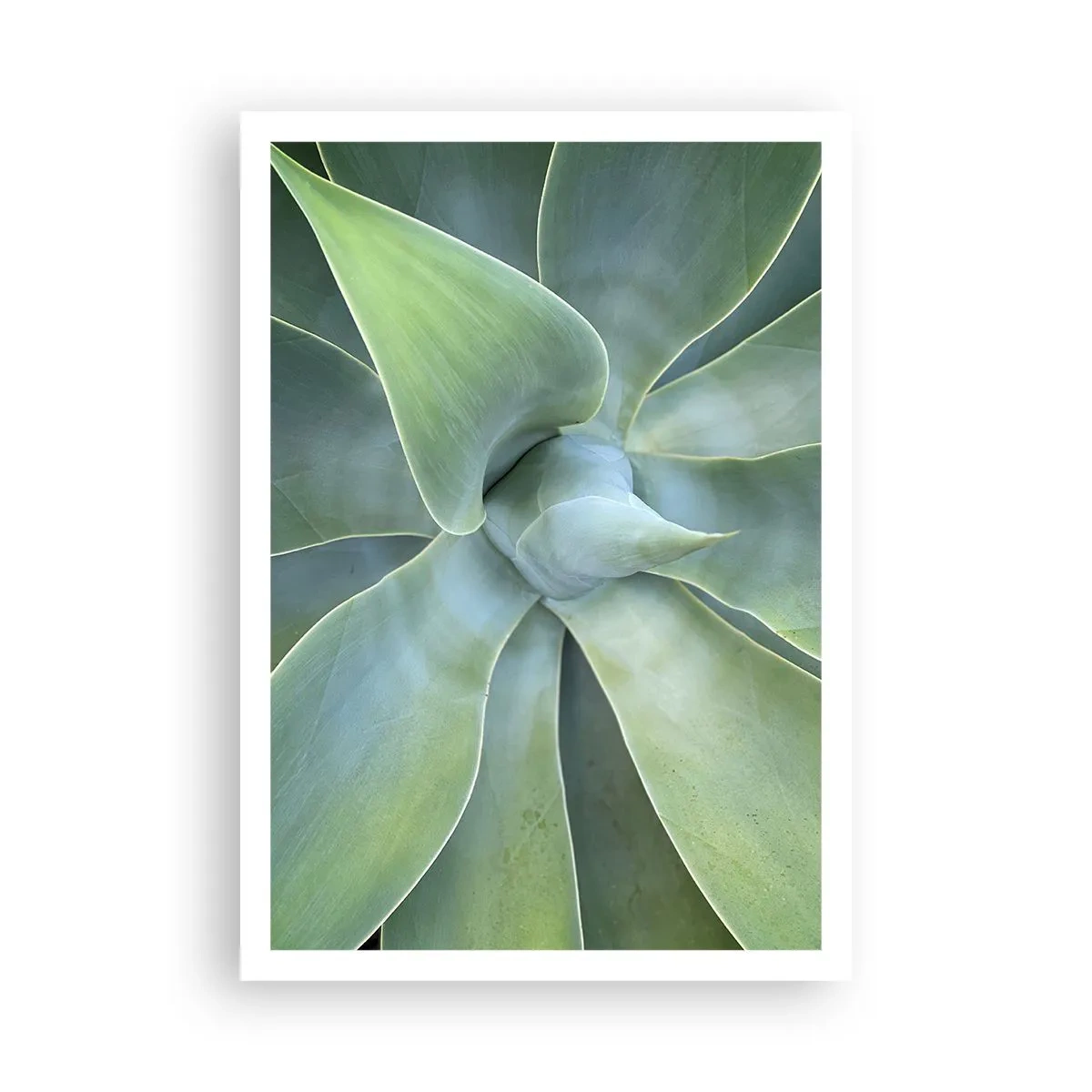 Poster - De geboorte van groen - 70x100 cm