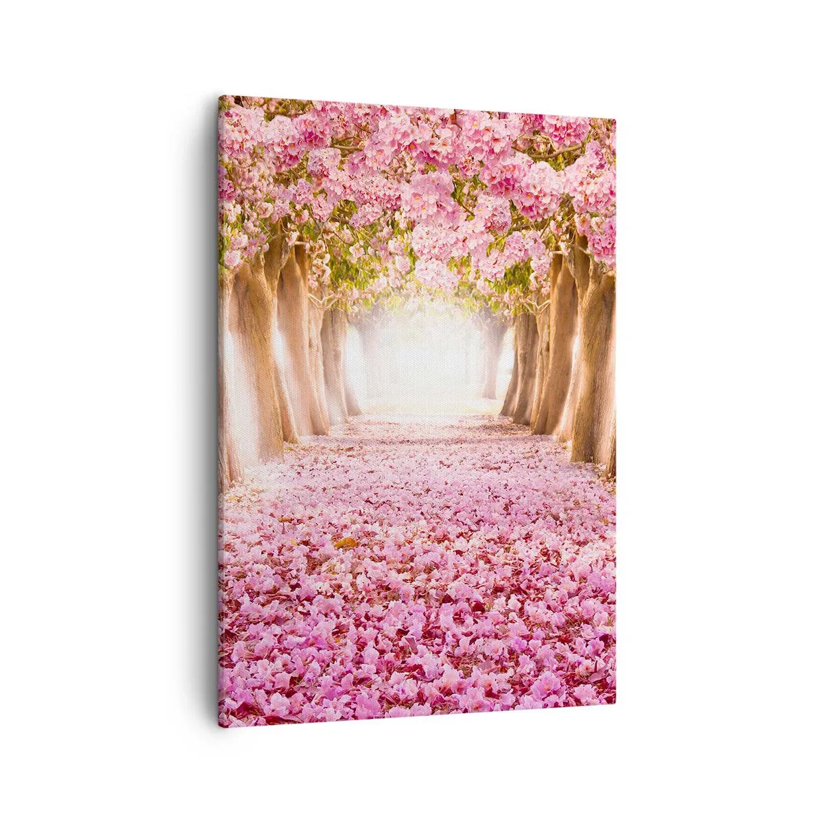 Schilderen op canvas - De weg naar het paradijs - 50x70 cm