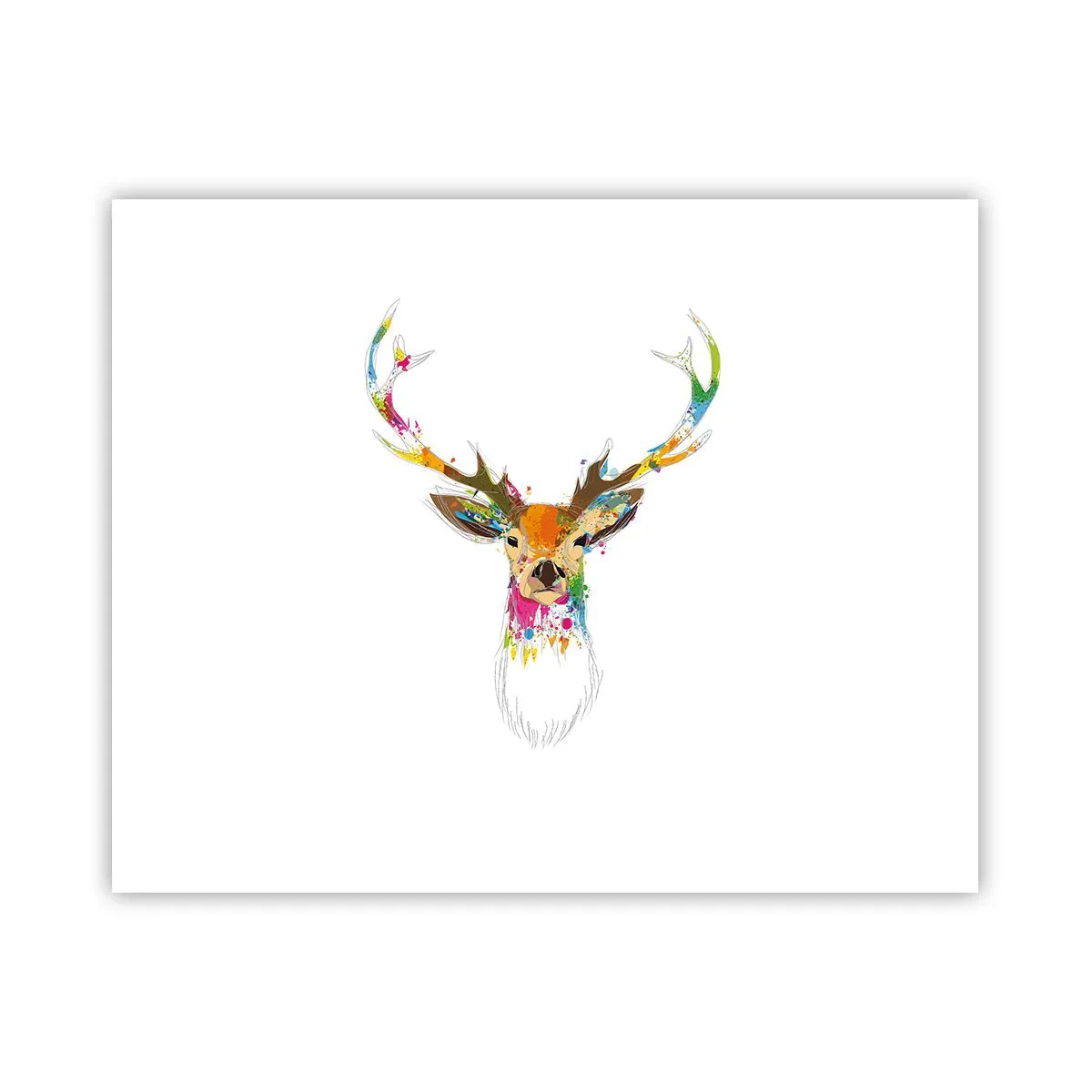 Poster - Een zacht hert badend in kleur - 50x40 cm