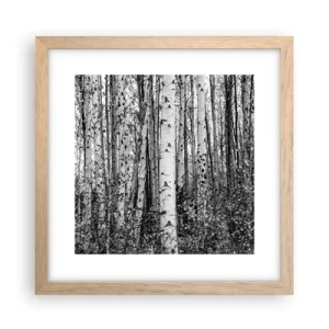 Een poster in een licht eiken lijst - Berken colonnade - 30x30 cm