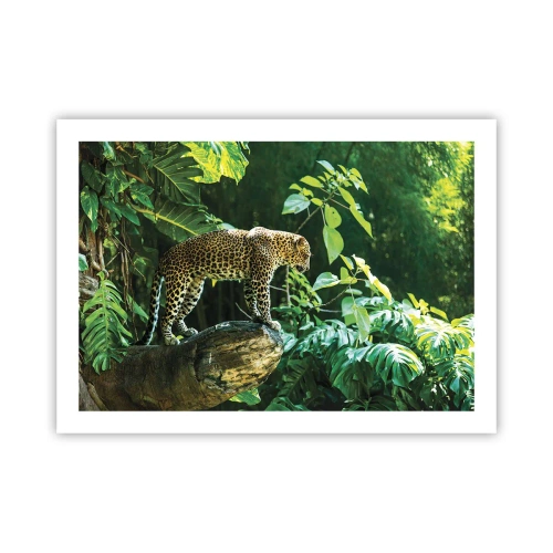 Poster - Op jacht? - 70x50 cm