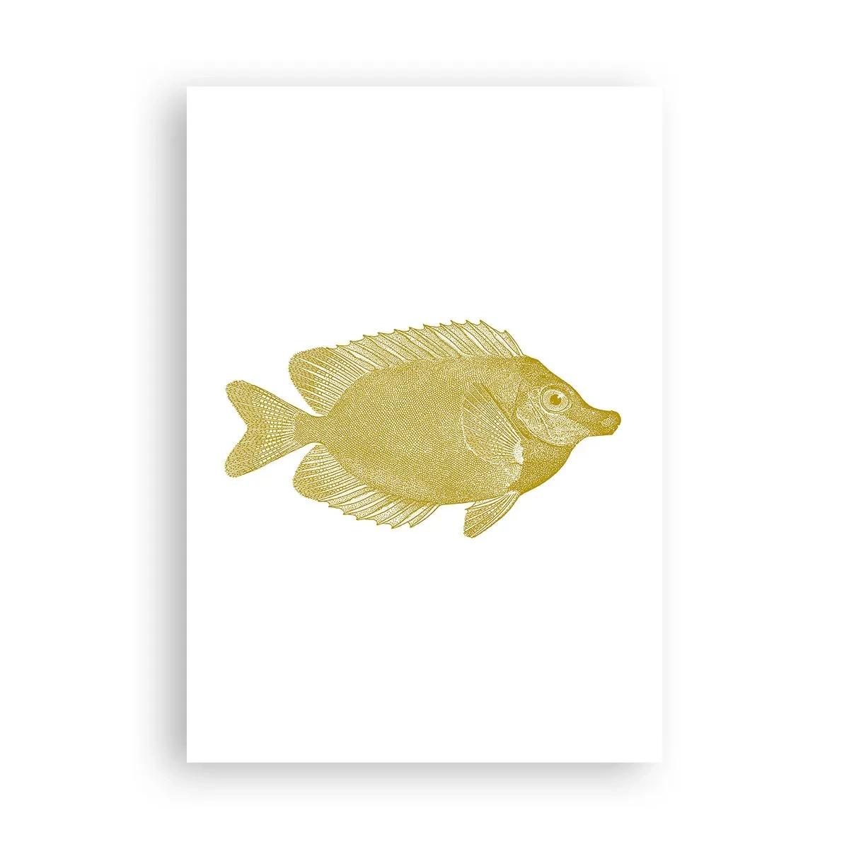 Poster - Vis en dat is het - 70x100 cm