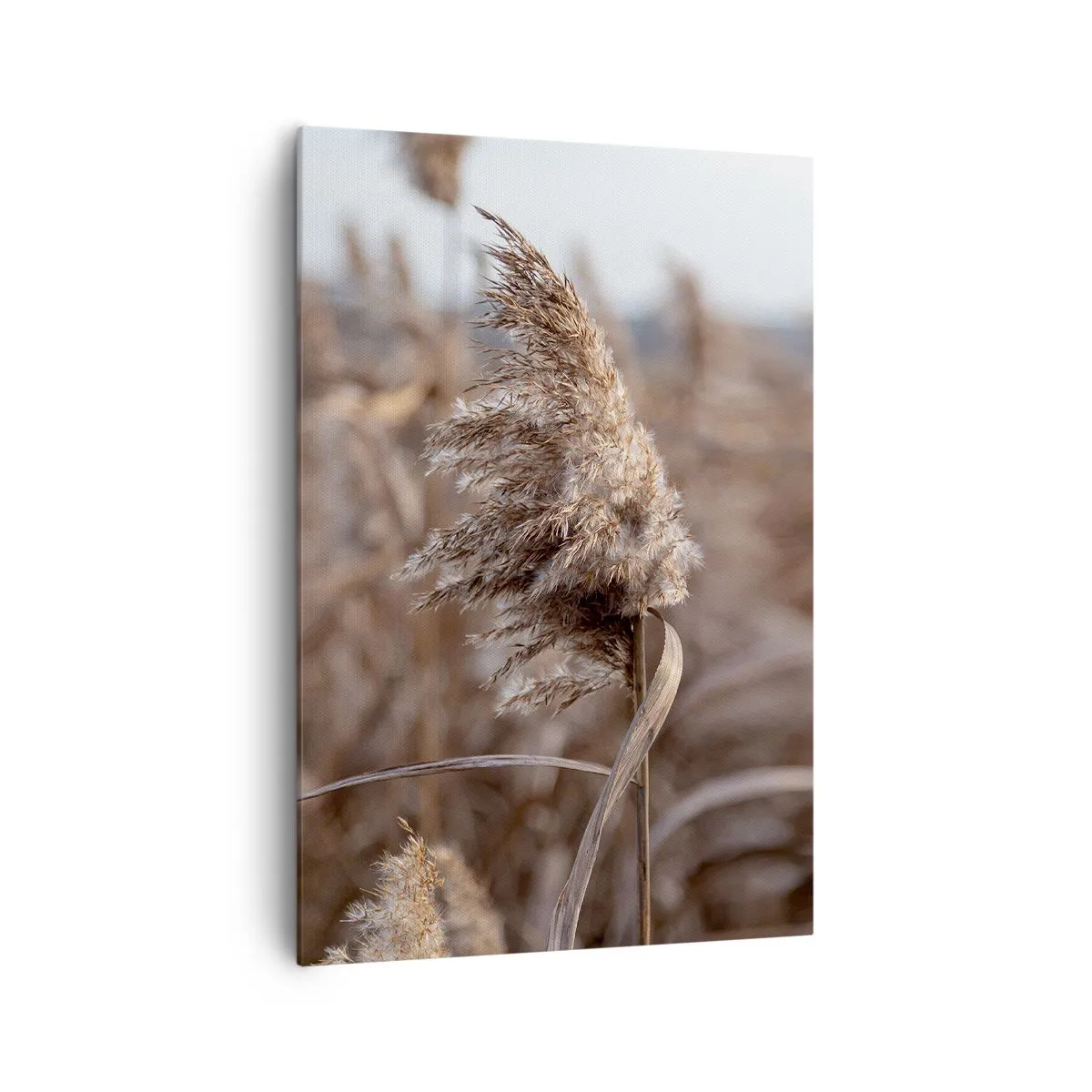 Schilderen op canvas - Tijd om met de wind mee te gaan - 70x100 cm